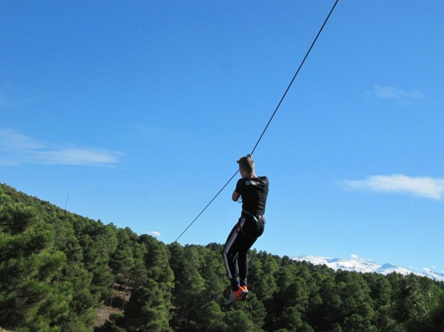 Glisser vers les arbres 